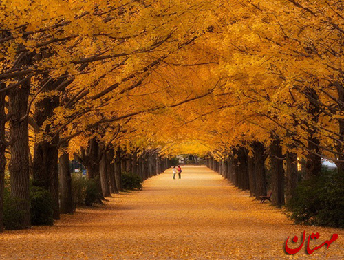 0_1495072923756_beautiful-autumn-mahstan.ir-20[1].jpg