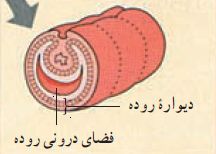 0_1508525707128_edc74576-af9b-4384-9d3c-c6025a083cbb-image.png