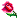 0_1508837171692_53.gif