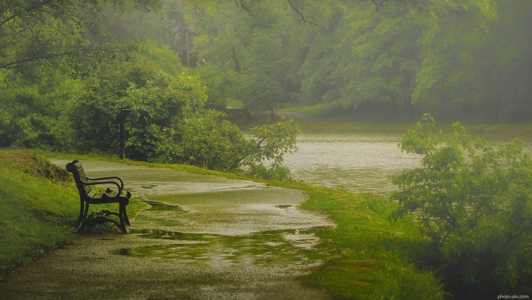 0_1511286540297_Nature-rain-park-bench.jpg