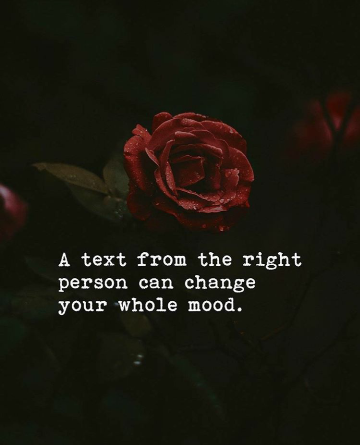 0_1511635205252_۲۰۱۷۱۱۲۵_۲۲۰۹۱۱.png