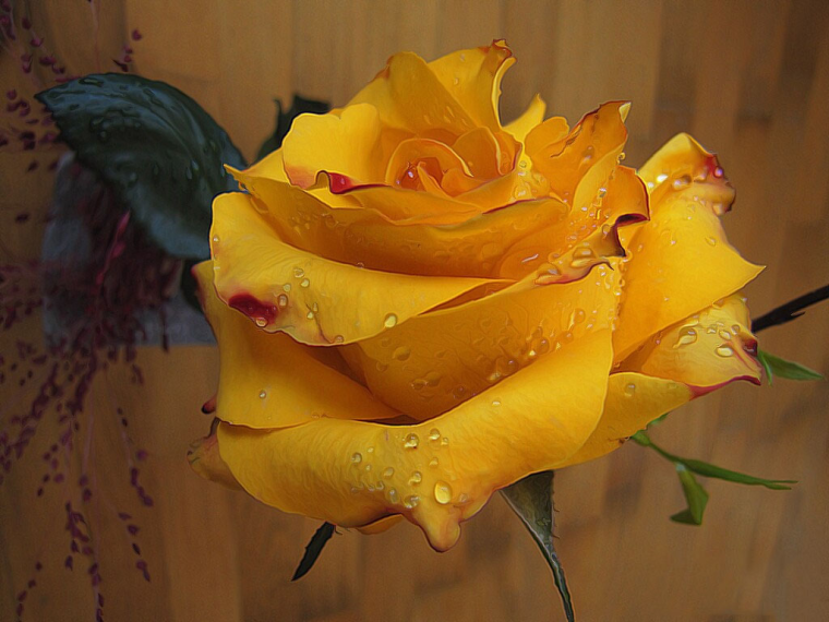 0_1512229119803_29e5afb7-2f32-4970-abed-62c9922560c2-image.png
