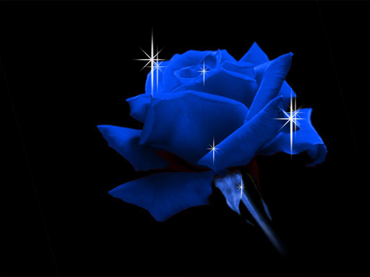 0_1512247023870_019a8a74-4839-4d5a-b066-8ef101dc5d7f-image.png