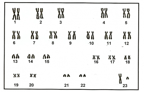 0_1515669790166_287sk0612.jpg
