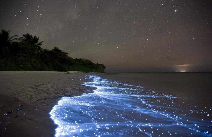 0_1515865194964_neon-blue-water-maldives.jpg