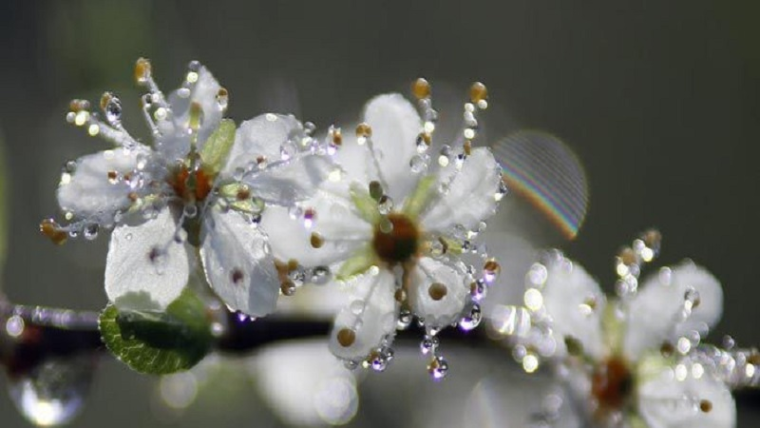 0_1516664683667_77021ebc-3c05-4d50-9c13-dc0fed43f8b0-image.png