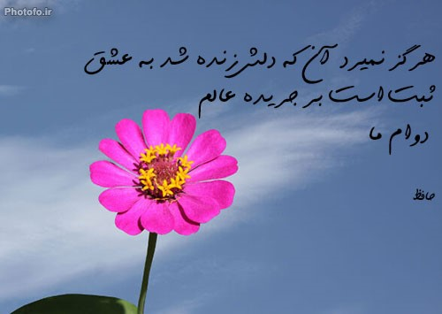 0_1524149362700_1c44628e-1d5d-4224-96d9-be3fe54d3d85-image.png