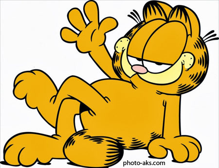 0_1524909589062_garfield.jpg