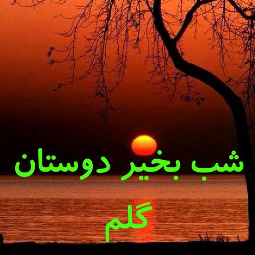 0_1526461831138_toptoop.irشب بخیر گفتن به دوستان.jpg