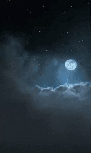 0_1533674065788_a5.gif