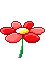 0_1533894088786_(s2429).gif