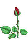 0_1534831344872_redrose.gif