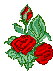 0_1535472742759_(s2466).gif