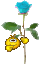 0_1535580153033_1534075383061-s2909.gif