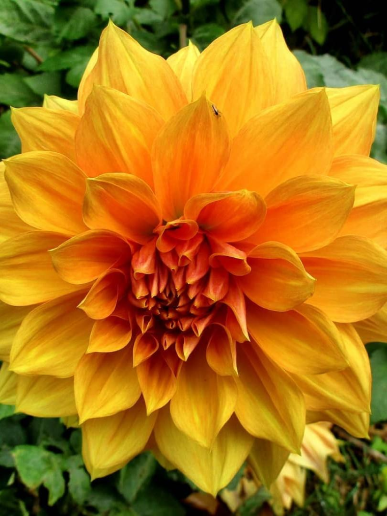 0_1535873747997_2e6b087e-68b9-49d7-9dd8-af4ccd090fbb-image.png