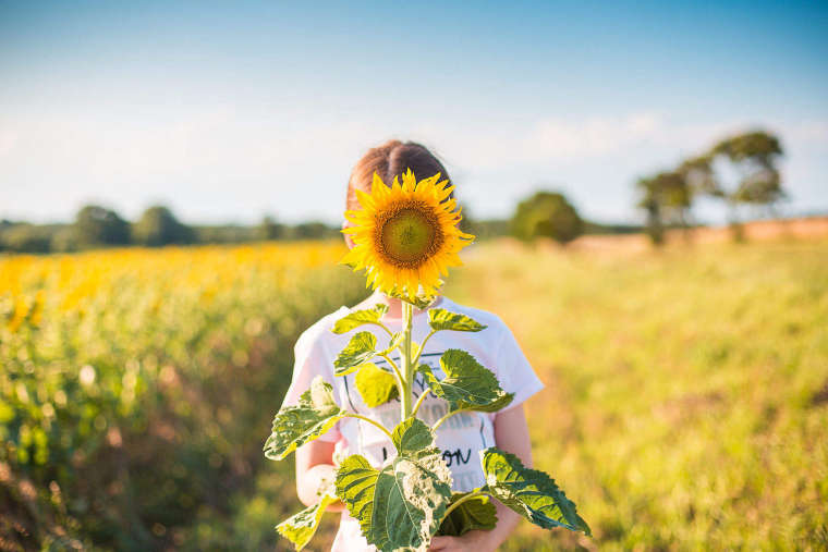 0_1536214507009_little-girl-with-sunflower-in-a-sunflower-field_free_stock_photos_picjumbo_HNCK4557-1570x1047.jpg