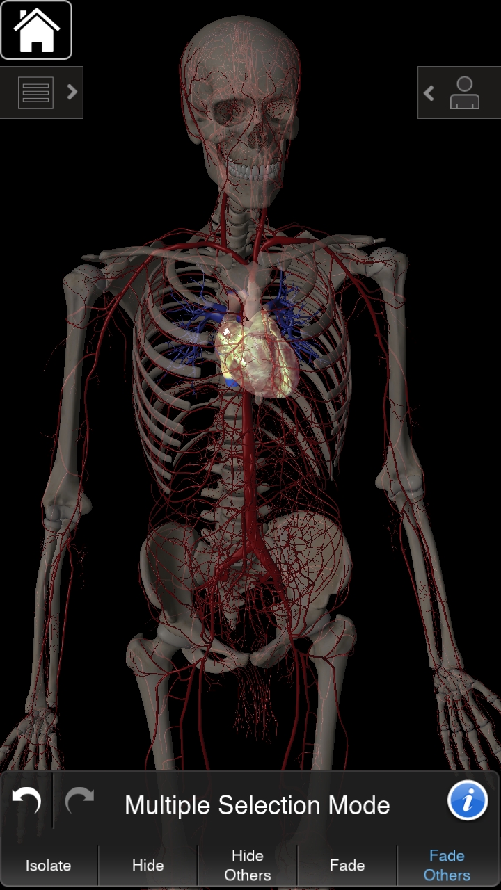 0_1541511221413_Screenshot_20181106-170309_Essential Anatomy 3.jpg