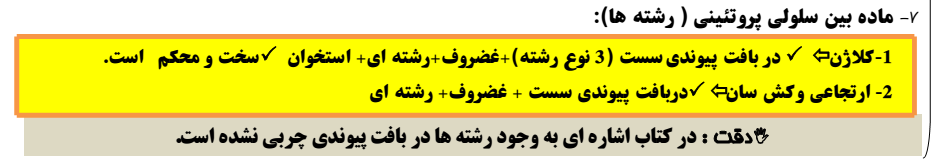 140ed174-40da-42f2-b357-a9eedf3acd97-image.png