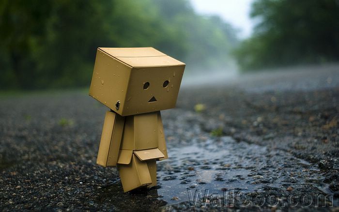 Danbo_Danboard_photo_140932.jpg