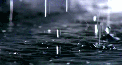 fece3ea5b0d3ddb60f0226d291bcd036.gif