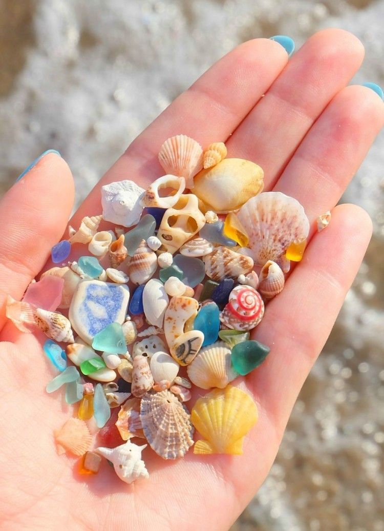 She Found These Beautiful And Ancient Things On The Beach.jpg