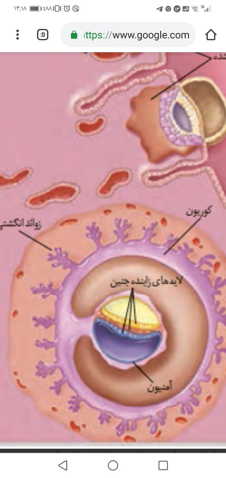Screenshot_20200401-141820.jpg
