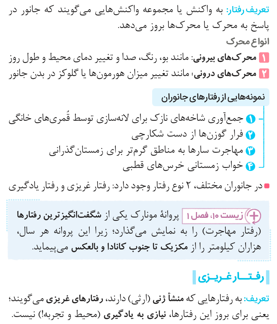 04ZistReview12-08-01_00001.png