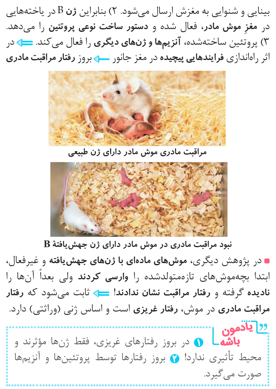 04ZistReview12-08-01_00003.png