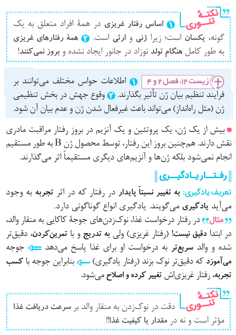 04ZistReview12-08-01_00004.png