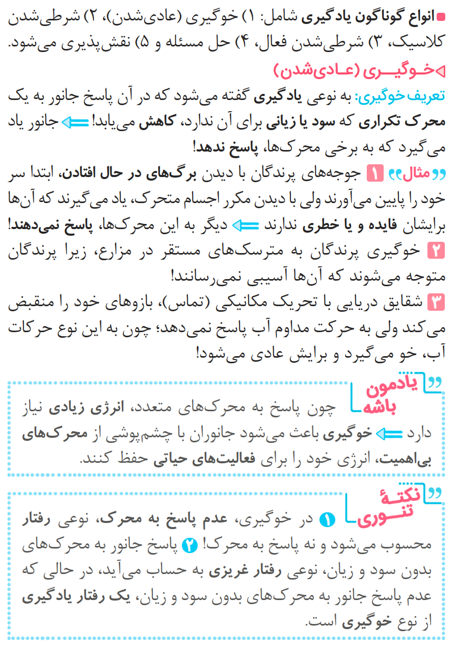 04ZistReview12-08-01_00005.png