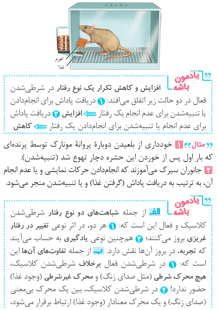 04ZistReview12-08-01_00008.png