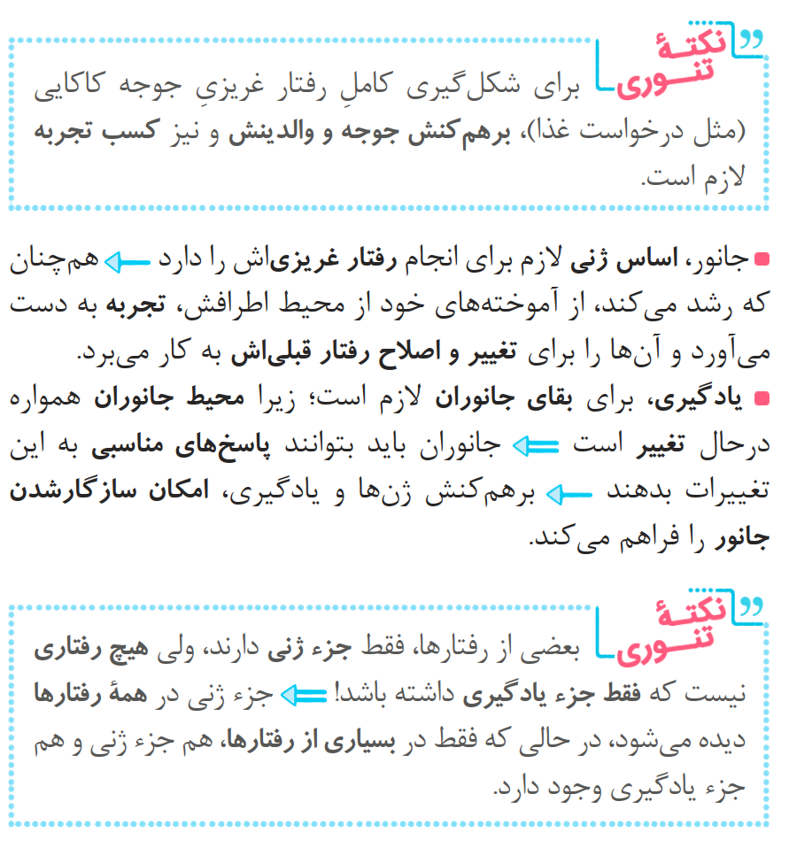 04ZistReview12-08-01_00012.png