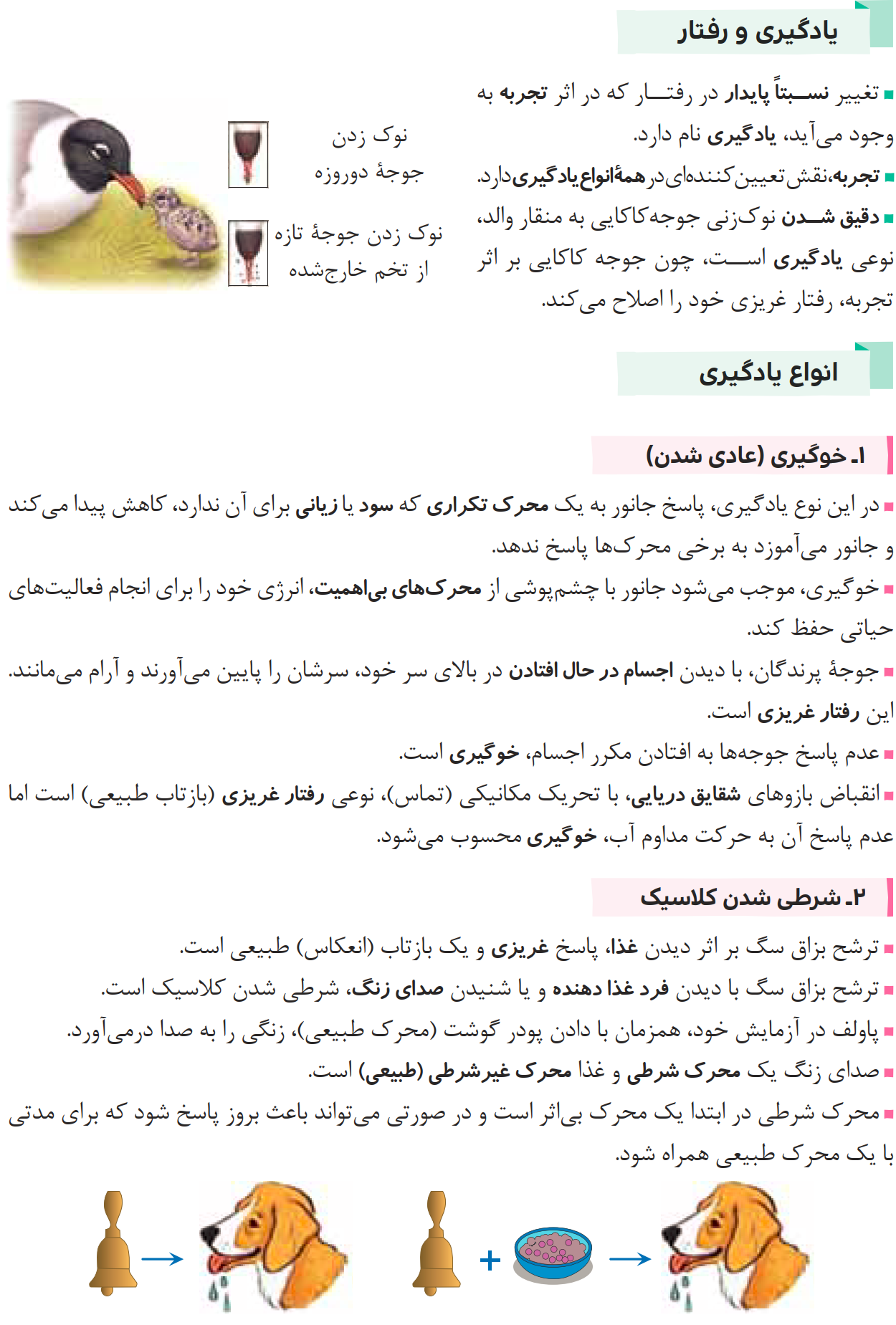 05Zistjambandi12-08-01_0002.png