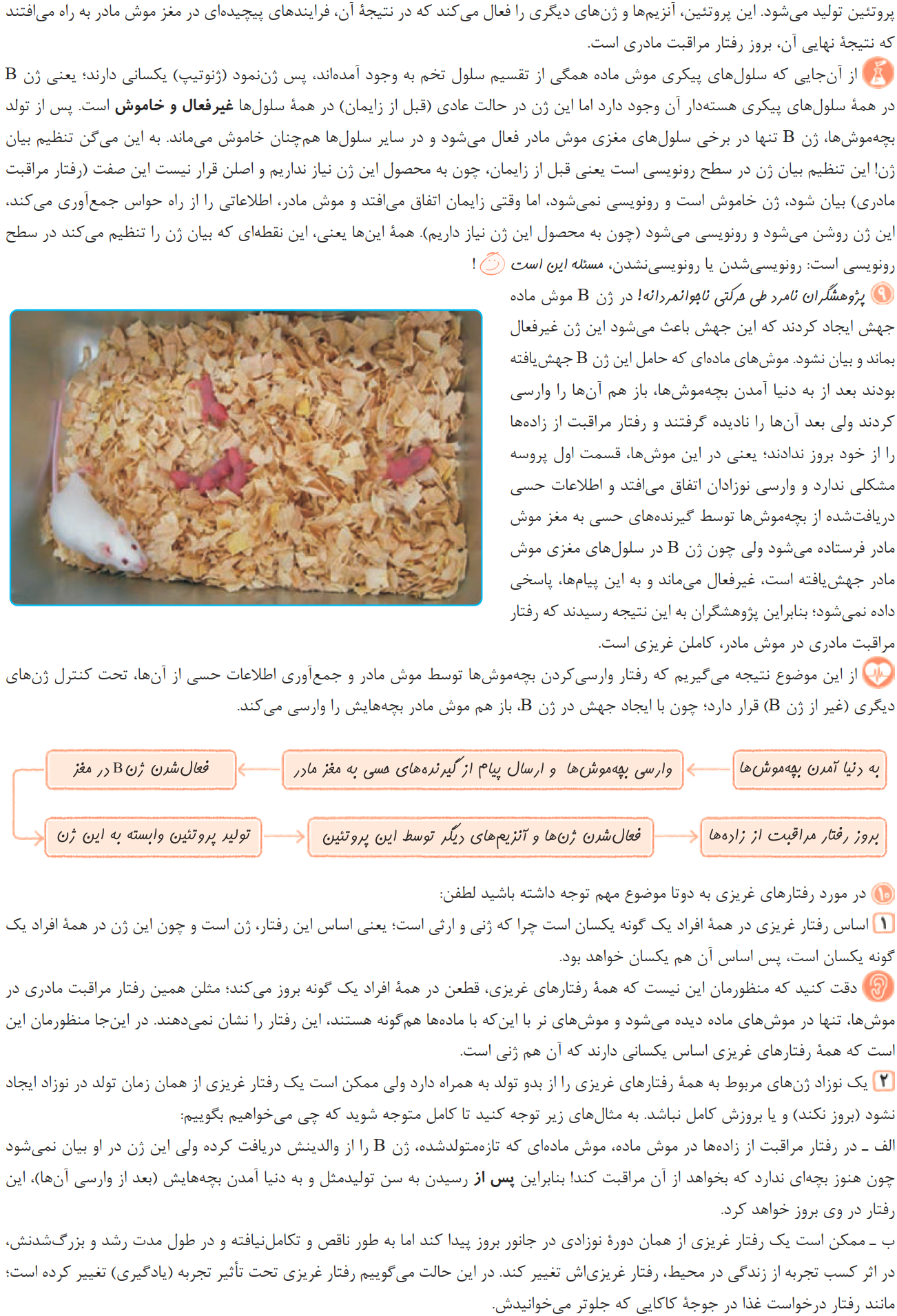 07ZistJame12-08-01_00003.png