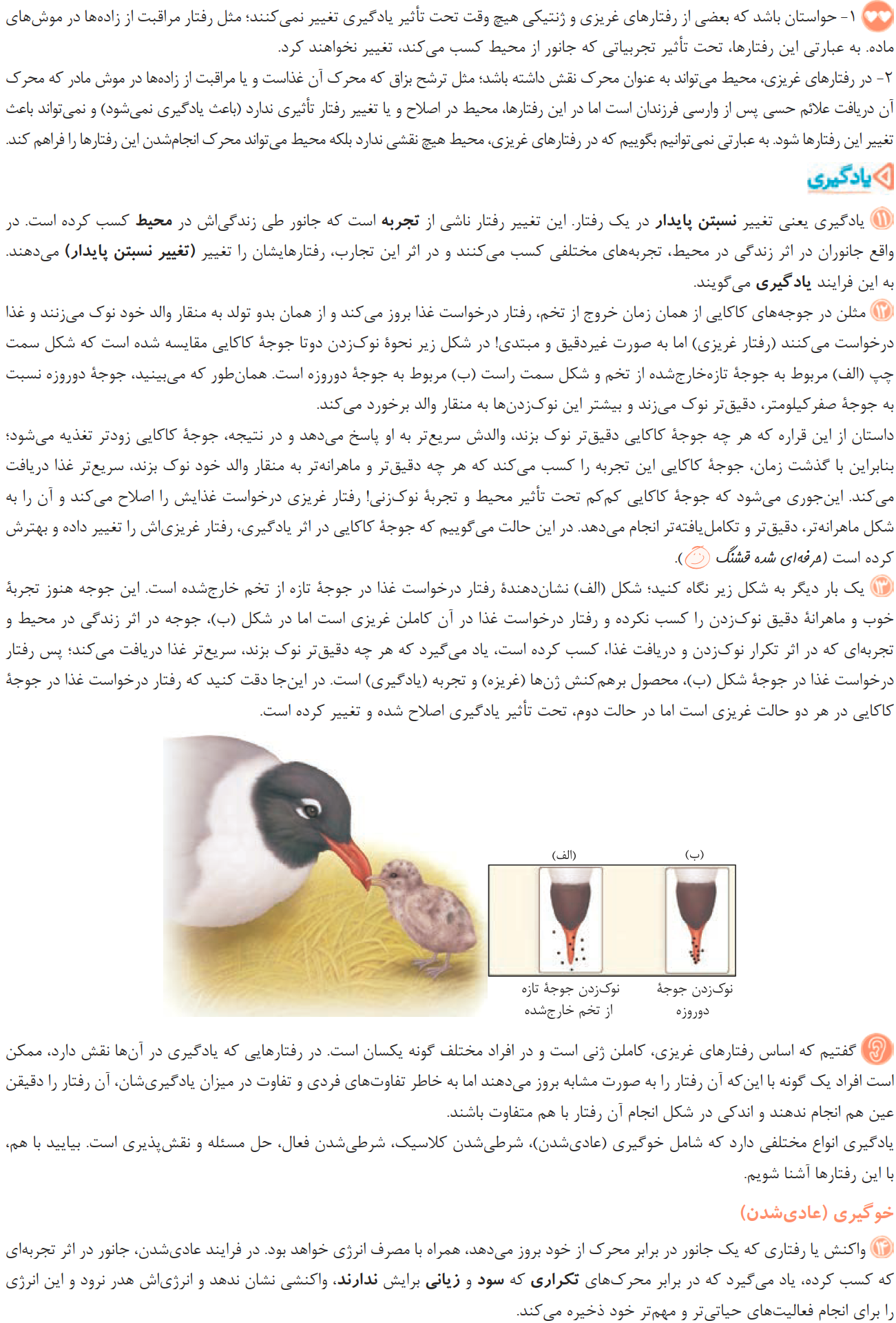 07ZistJame12-08-01_00004.png