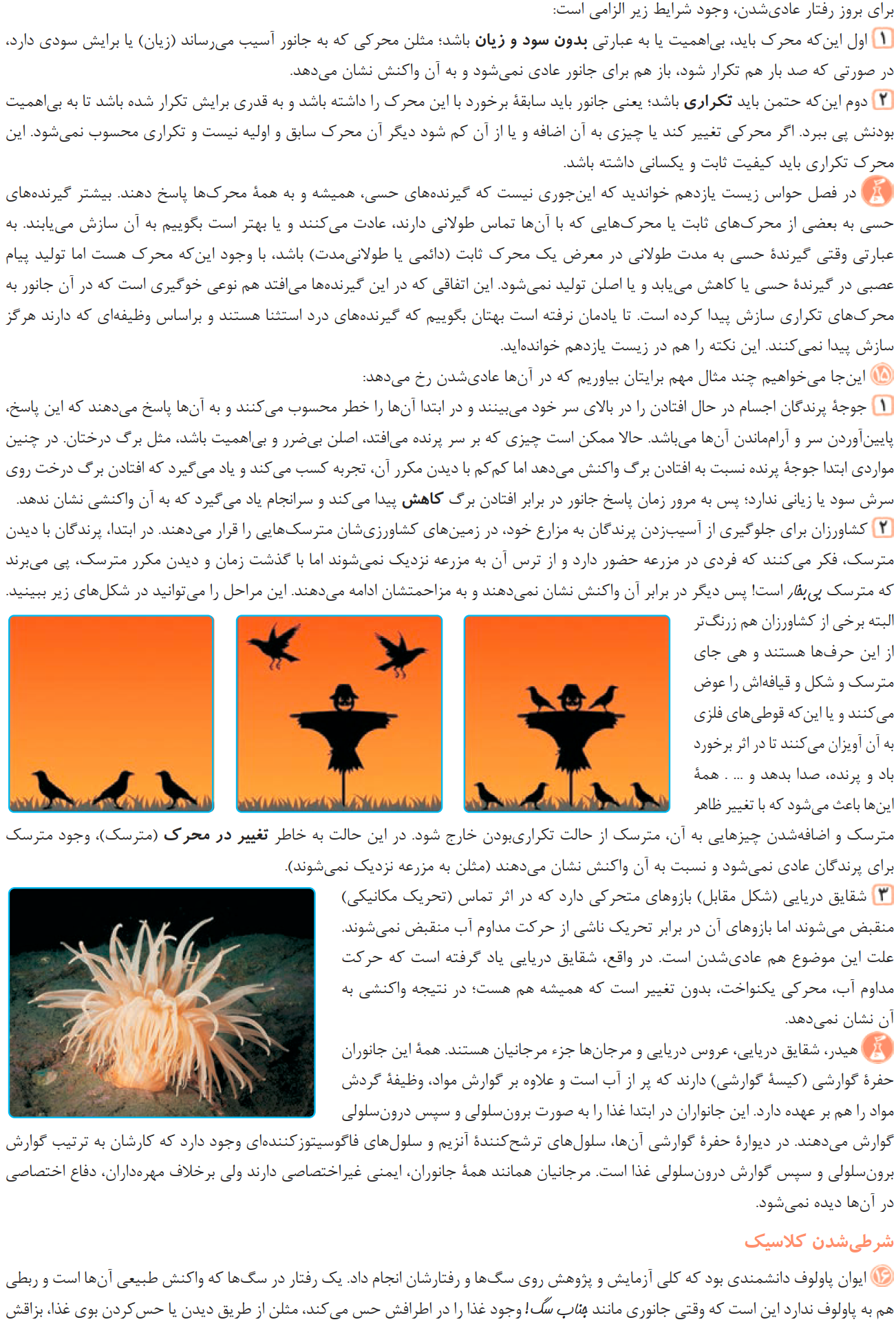 07ZistJame12-08-01_00005.png