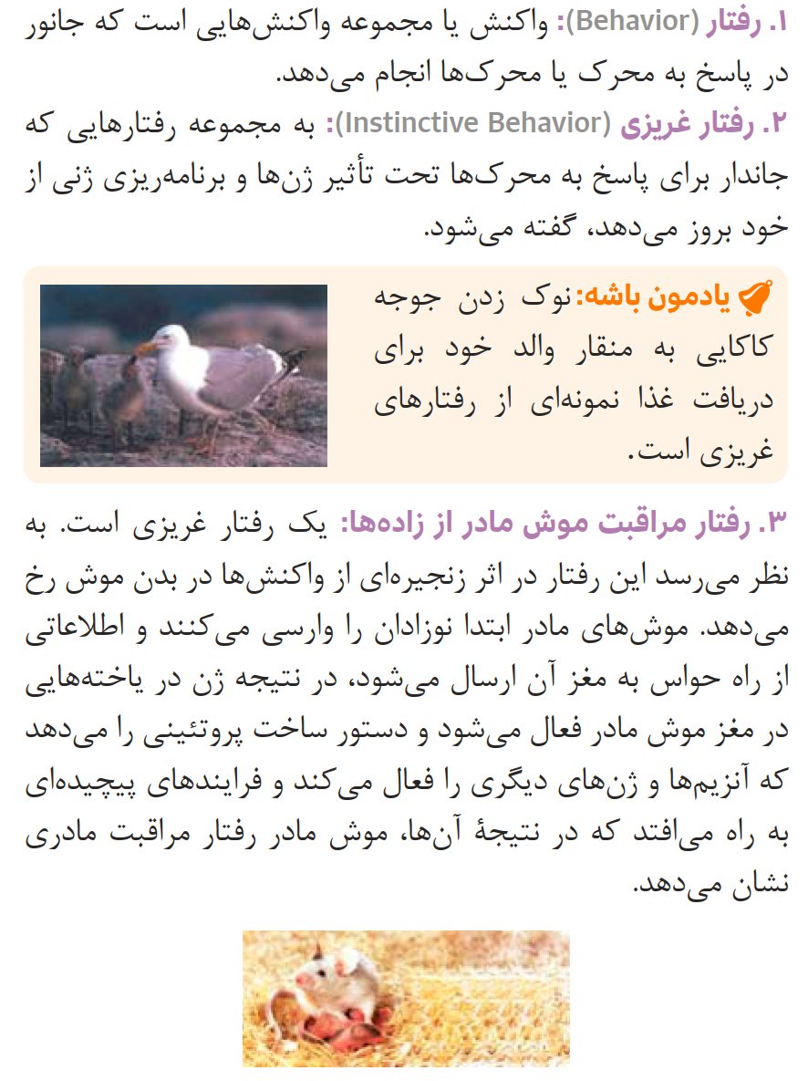 081ZistNote12-08-1_0001.png