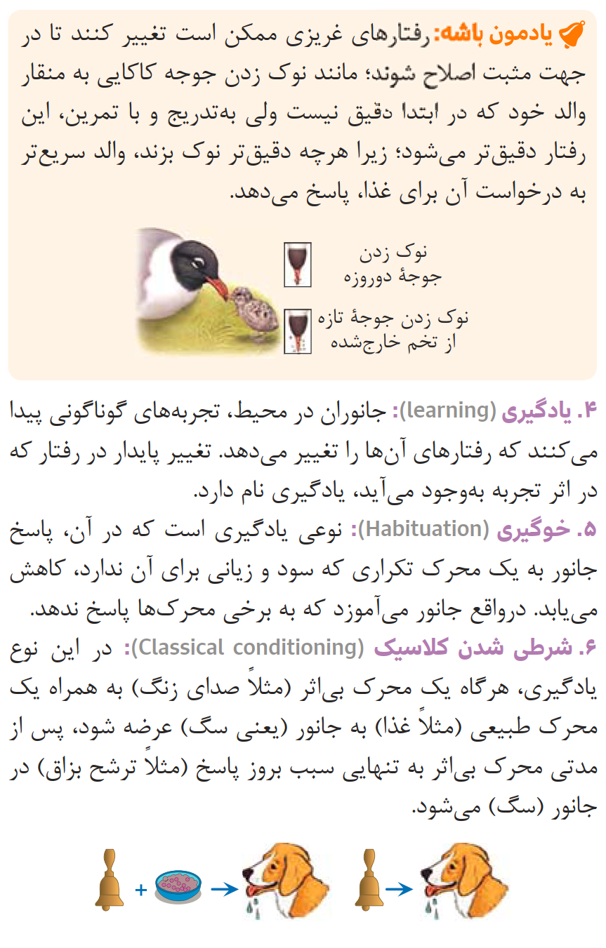 081ZistNote12-08-1_0002.png
