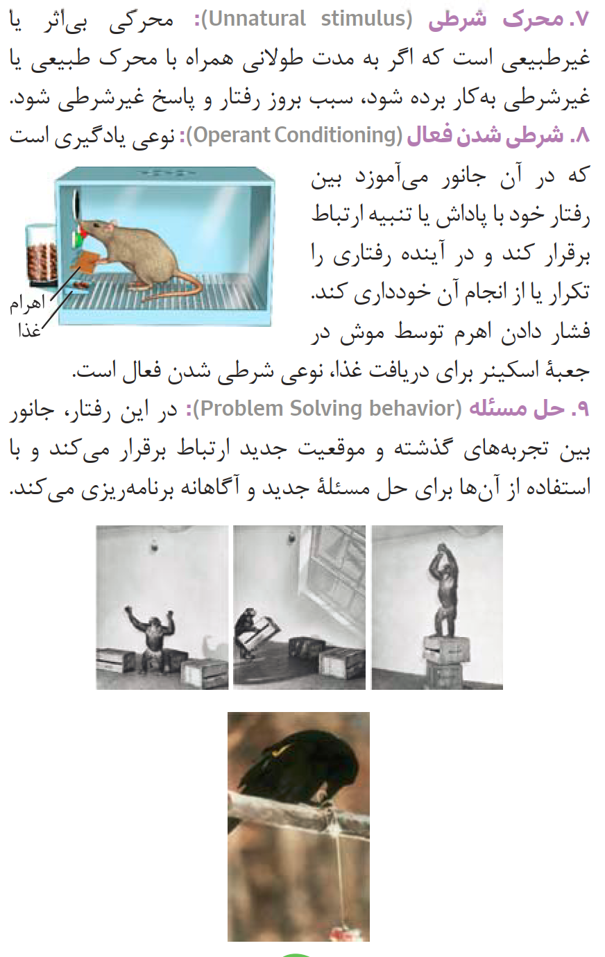 081ZistNote12-08-1_0003.png