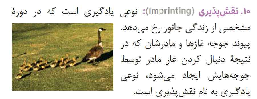 081ZistNote12-08-1_0004.png