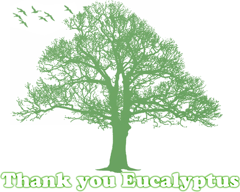 Eucalyptus.png