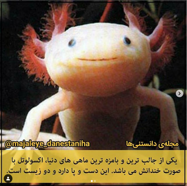 ققققق.png