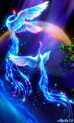 8757a652da346c122febc17daf8182f0.gif