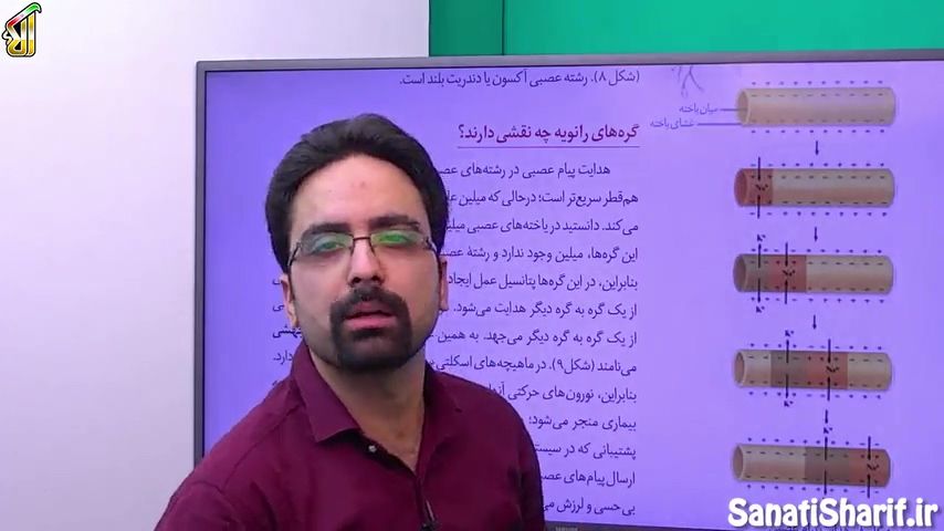 عددی نیستی.jpg