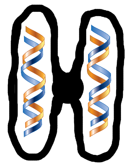 b931c376-d4fa-4a66-bf0f-0dc7f75bac61-image.png