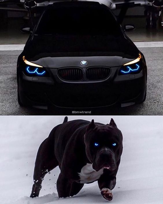 e60d0a76d8b0c94ef09ced8e2882bdde.jpg