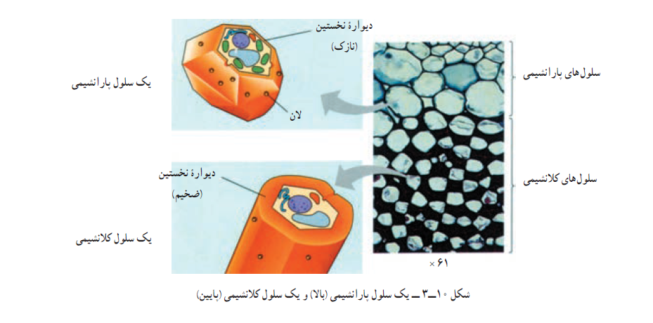 4c174df9-142d-4e85-9b8f-b441ed5866cf-image.png