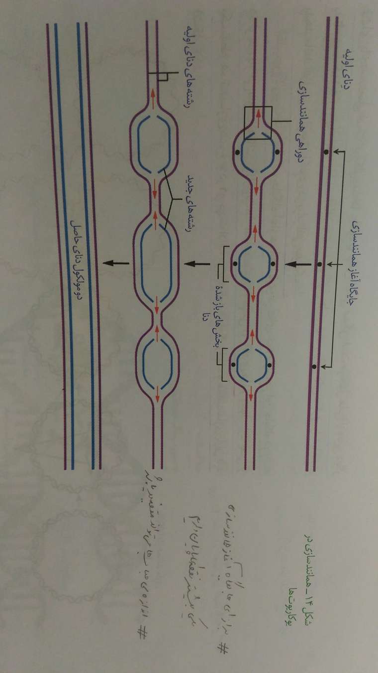 15974096327771434568130.jpg