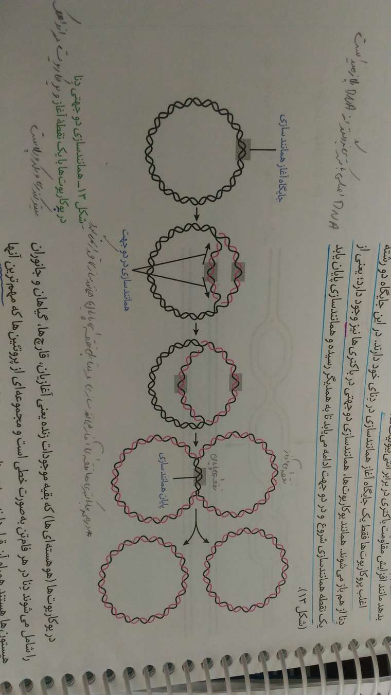 1597409699230-1178833131.jpg