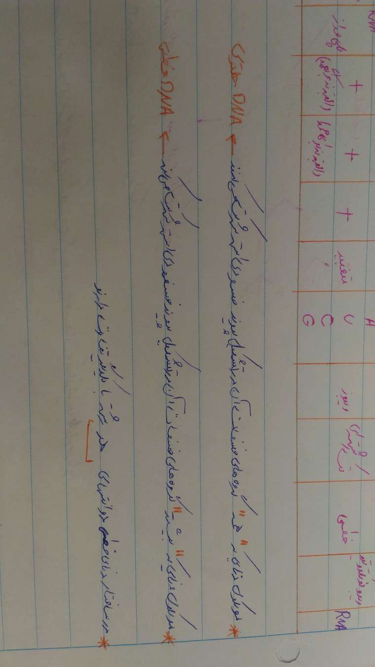 15974097486521355412703.jpg